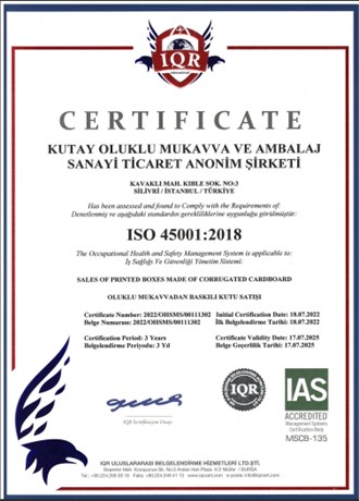 ISO 45001:2018 İş Sağlığı ve Güvenliği Yönetim Sistemi